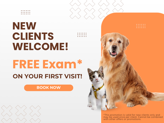 Free First Refer-A-Fur-iend